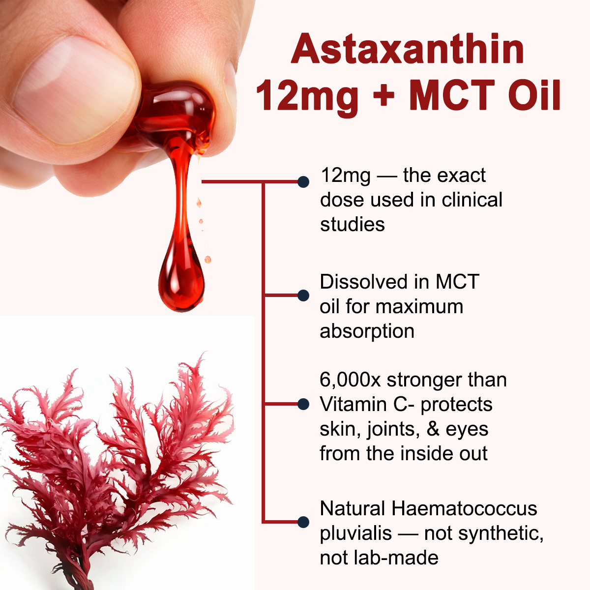 Astaxanthin 12mg + MCT Oil callouts